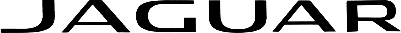 4. Jaguar